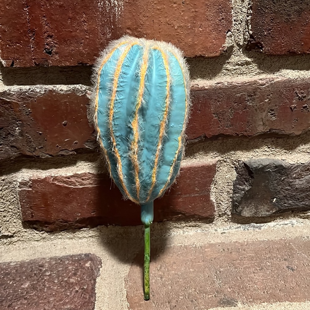 Spring/Summer Decor - Picture 2 of 5